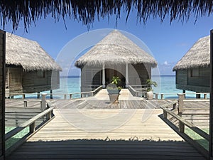 Maldives - Luxury Resort with private pools