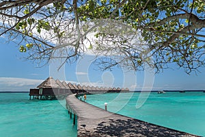 Maldives Overwater Huts