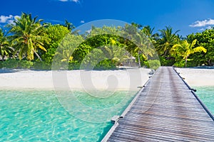 Maldives paradise beach banner. Perfect tropical island. Beautiful palm trees and tropical beach. Moody blue sky and blue lagoon