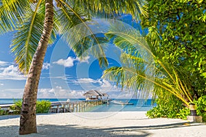 Maldives paradise beach banner. Perfect tropical island. Beautiful palm trees and tropical beach. Moody blue sky and blue lagoon