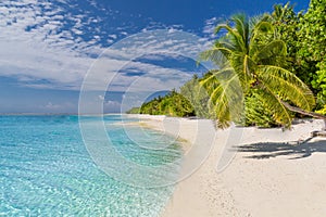 Maldives paradise beach banner. Perfect tropical island. Beautiful palm trees and tropical beach. Moody blue sky and blue lagoon