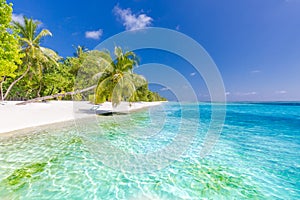 Maldives paradise beach. Perfect tropical island. Beautiful palm trees and tropical beach. Moody blue sky and blue lagoon