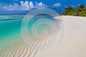 Maldives paradise beach. Perfect tropical island. Beautiful palm trees and tropical beach. Moody blue sky and blue lagoon. Luxury