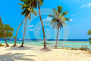 Maldives paradise sandy beach, Hangnaameedhoo, Maledives. Copy space for text