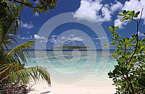 Maldives paradise - view from the jungle on uninhabited island.