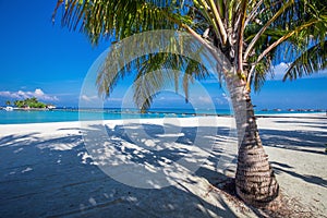 Maldives resort bridge. Tropical island with sandy beach, palm trees and tourquise clear water. photo