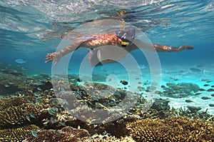 Maldives - Tourist snokelling on a coral reef