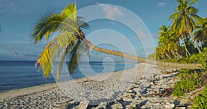 Maldives tropical beach on island. Summer and tropical vacation concept. Sandy beach in tropics