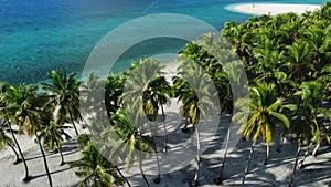 Maldives tropical beach with palms and blue ocean. Holiday vacation footage. Aerial view