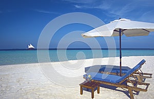 Maldives tropical beach and Sun loungers