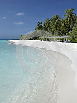 Maldives - Tropical Island