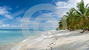 Maldives tropical islands panoramic scene, idyllic beach palm tree vegetation and clear water Indian ocean sea, tourist resort