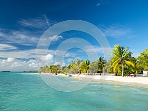 Maldives tropical islands panoramic scene, idyllic beach palm tree vegetation and clear water Indian ocean sea, tourist resort