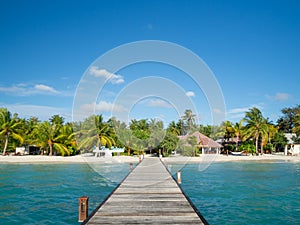 Maldives tropical islands panoramic scene, idyllic beach palm tree vegetation and clear water Indian ocean sea, tourist resort