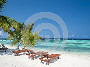 Maldives tropical islands panoramic scene, idyllic beach palm tree vegetation and clear water Indian ocean sea, tourist resort