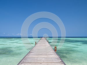 Maldives tropical islands panoramic scene, idyllic beach palm tree vegetation and clear water Indian ocean sea, tourist resort