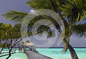 Maldives - Tropical Vacation
