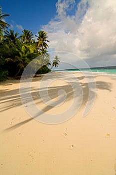 Maldivian sand beach photo