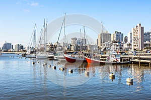 Red Fishing Boats in Punta del Este harbor, Uruguay