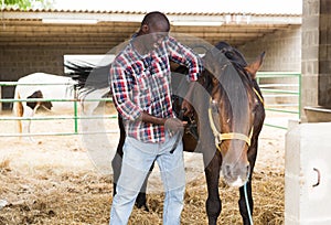 Male african american farmer removes saddle from horse at stable