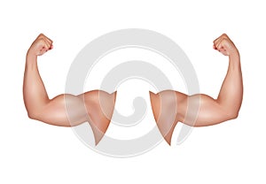 Male arm with a big strong bicep. Healthy power. Tense flex muscles of sportsman. Light brown hand of the sportsman.