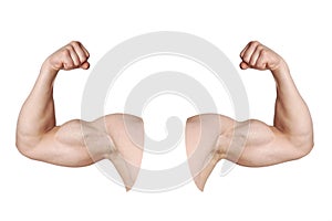 Male arms with flexed biceps muscles