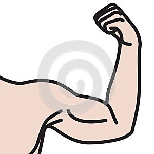 Male arms with flexed biceps muscles