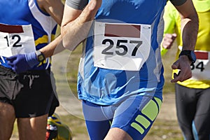 Male athletic runners on a cross country race. Outdoor circuit.