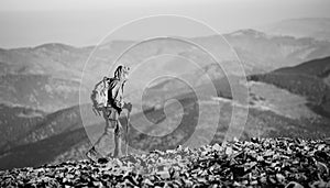 Male backpaker walking on the rocky top of the mountain