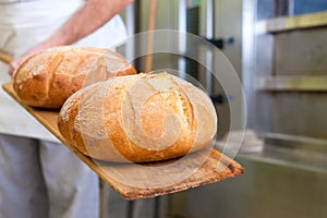 Male baker baking bread