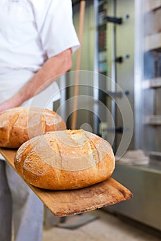 Male baker baking bread