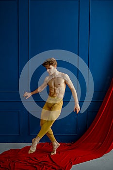 Male ballet dancer poses in dancing class