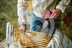 Male beekeeper works in an apiary, using beekeeper`s tools