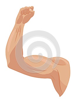 Male biceps muscles icons set. Sportsman arm with strong biceps. Vector symbol of healthy power. Athletic body with