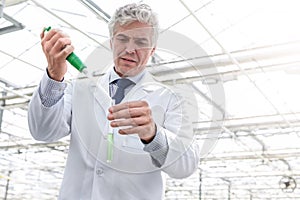 Male biochemist pouring chemical in test tube with pipette in plant nursery photo