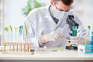 The male biochemist working in the lab on plants