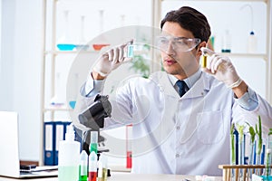 The male biochemist working in the lab on plants