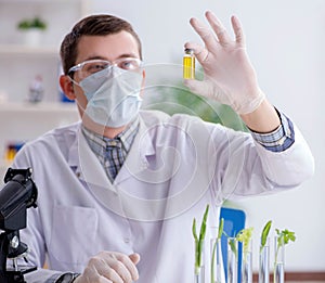 Male biochemist working in the lab on plants