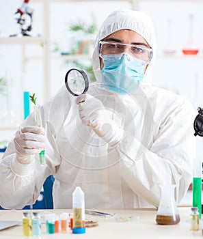 Male biochemist working in the lab on plants