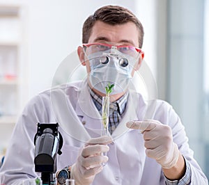 Male biochemist working in the lab on plants