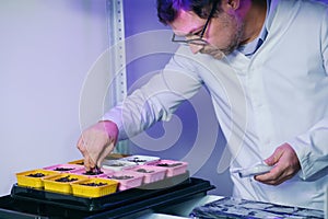 Male biochemist working in the lab on plants