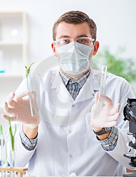 Male biochemist working in the lab on plants