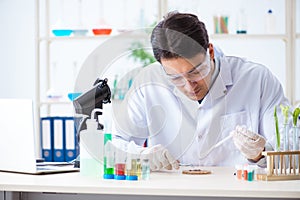 The male biochemist working in the lab on plants