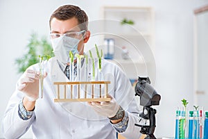 The male biochemist working in the lab on plants