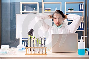 The male biotechnology scientist chemist working in the lab