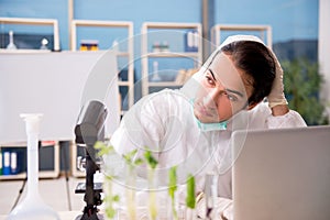 The male biotechnology scientist chemist working in the lab