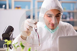 The male biotechnology scientist chemist working in the lab