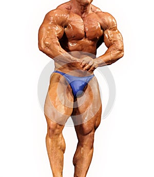 Male Body Builder