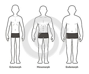 Male body type chart