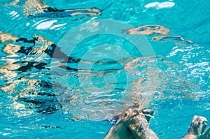 A male body underwater swimming in a clear blue sea and the face